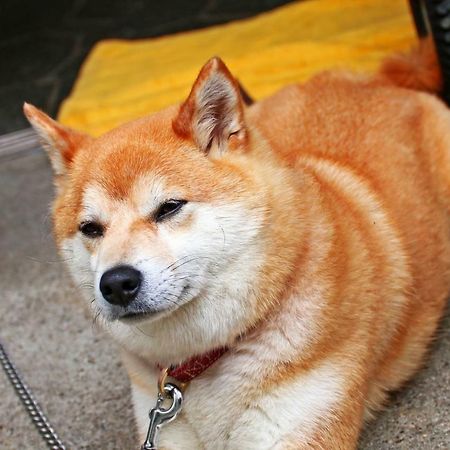 Hounkan Yoshino  Eksteriør bilde